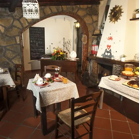 Couette-café Elena 4*