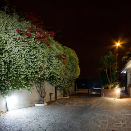 Elena Bed & Breakfast